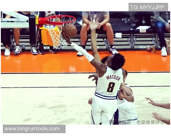 2019年2月3日掘金与森林狼激战回顾精彩瞬间与赛后分析