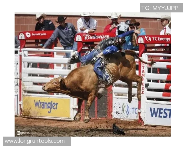 2019年公牛与骑士对决全面分析与赛果预测