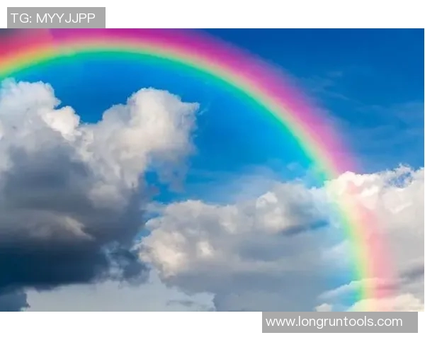 何思雨的成长旅程与心灵探索：在风雨中绽放的勇气与坚持