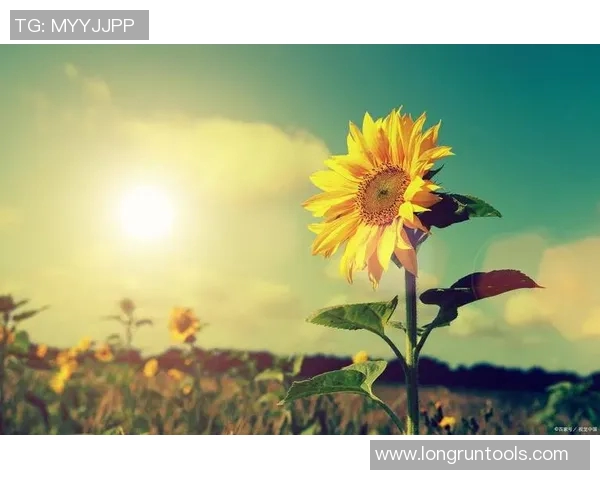 张骋宇的奋斗故事：从平凡到卓越的成长之路与人生启示