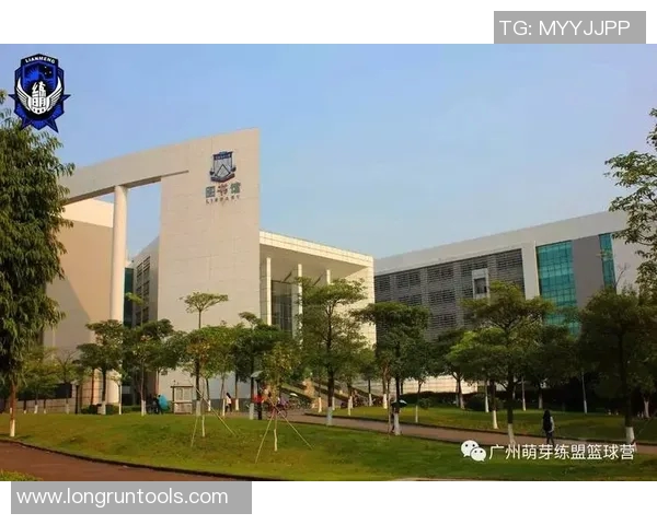 广州篮球队运营新策略解析与未来发展展望