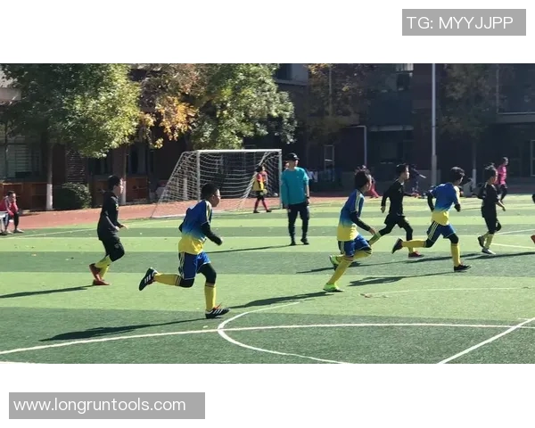 谢什科的传奇人生与足球梦想的追求之路